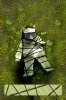 Bear4.jpg