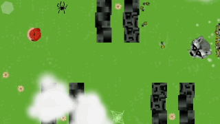 C GIF.gif