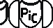 PiC-bigshield.png