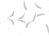 void-invisible-sword.png.png