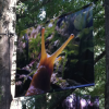 SlugMallPhoto.png
