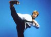 roundhouse-kick-chuck-norris.jpg
