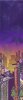 Background Skwerl City.jpg