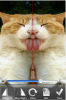 Screen shot 2011-06-15 at 9.31.10 AM.png