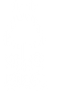 forest.png