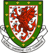 wales_football_merchandise_shop.png