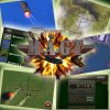 collage.jpg