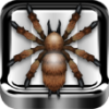 SpiderIcon114x114.png
