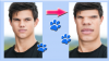 ads.png