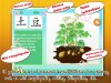 Baby Plants Vegetables2.jpg