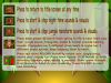 iPadScreen1.png