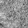 mars surface.jpg