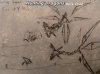 Manuscript03s.jpg
