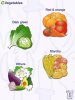 Vegetales.jpg