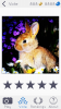photo 1.PNG