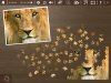 Screen5.jpg