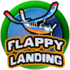 flappylandingx2.png