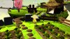 02-forum announcement-SM.jpg