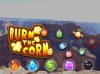 burnthecorn feature.001.jpg