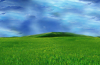 IMG_0002.PNG