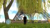 3D Grass Capture.jpg