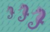 seahorses.jpg
