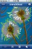 dandelions2.jpg