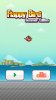 flappy02.jpg