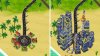 TK_grow_your_cities_preview.jpg