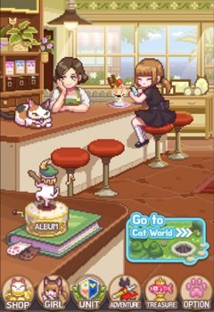 CAT SAGA SPECIAL.jpg