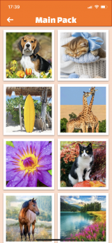 IMG_1148.PNG