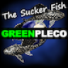 GreenPleco