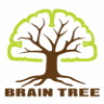 Braitree Studio