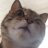 Toasty_Cat